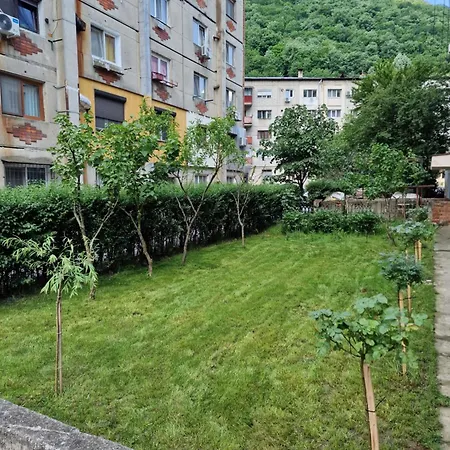 Apartament Alymit Baile Herculane Exterior photo
