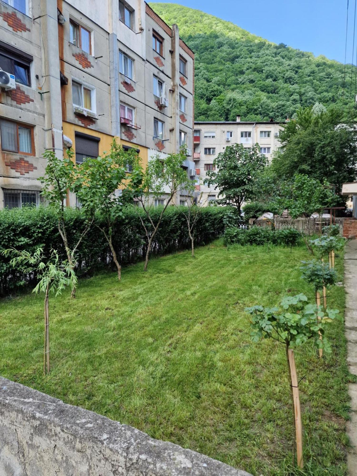 Apartment Alymit *